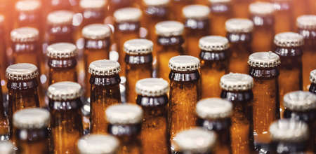 Beer bottles on conveyor production line belt. Brewery factory manufacturing plantの写真素材
