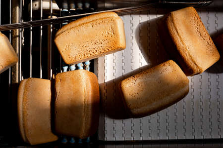 Automated production line bakery Fresh hot baked breadsの写真素材