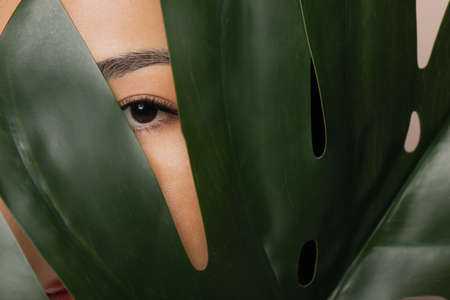 Concept fashion natural cosmetics, eye lashes Asian young girl looks through green monstera leafの写真素材