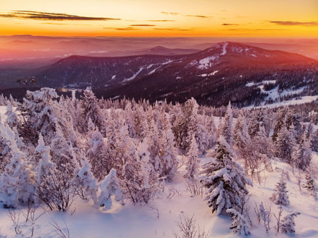 Colorful winter sunset in Sheregesh ski resort mountains covered trees. Aerial top view beautiful forest of Russiaの写真素材