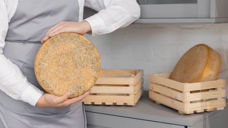 Banner farmer in gray apron holds homemade round of cheese in wooden box