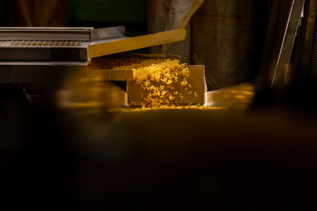 Pasta manufacturing automatic conveyor, drying and bagging for saleの写真素材