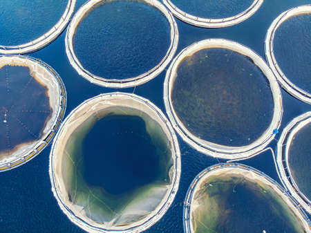 Fish farm for breeding for rainbow trout and salmon fry in net cages. Concept aquaculture pisciculture.の写真素材