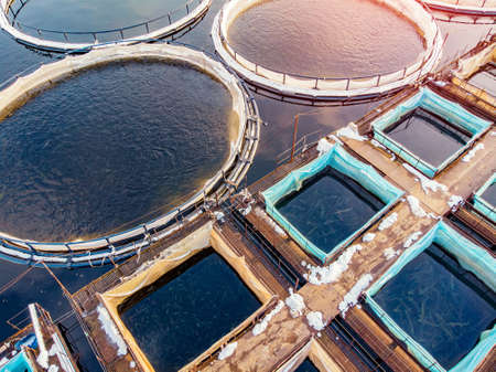 Salmon fish farm aquaculture blue water. Aerial top viewの写真素材