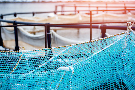 Fish farm for breeding for rainbow trout and salmon fry in net cages. Concept aquaculture piscicultureの写真素材