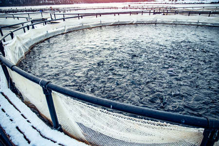 Fish farm for breeding for rainbow trout and salmon fry in net cages. Concept aquaculture piscicultureの写真素材