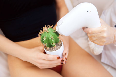 Closeup zone bikini laser epilation, woman holding cactus on hand