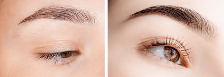 Before and after correction of brow hair. Young woman with beautiful eyebrowsの写真素材