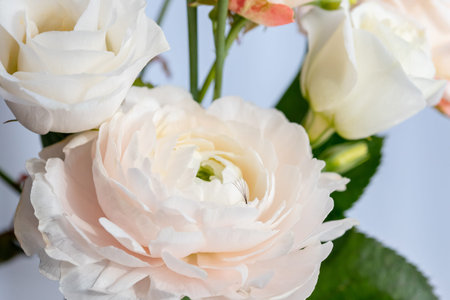 Eyelash extension procedure. Background beauty lashes set on pink flowers