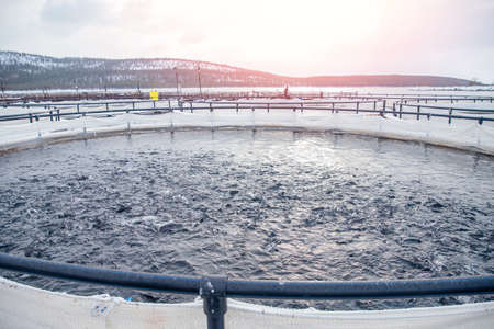 Fish farm for breeding for rainbow trout and salmon fry in net cages. Concept aquaculture piscicultureの写真素材