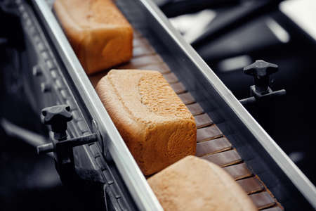 Baked square breads on conveyor food automatic production line bakery from hot oven, Top viewの写真素材