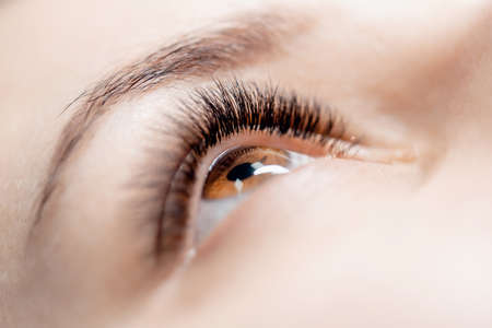 Eyelash extension procedure microblading for woman in beauty salonの写真素材