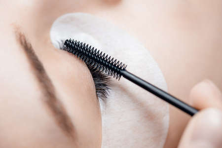Master combing with brush lashes after eyelash extension procedure microblading in beauty salonの写真素材