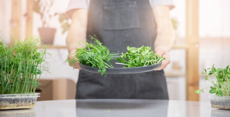 Banner fresh raw microgreen baby sprouts beans pea and sunflower on hand farmer manの写真素材