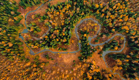 Landscape autumn yellow forest with winding river with sun light, Aerial top viewの写真素材