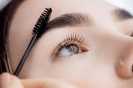 Master with comb of eyebrow hair in women, brow correction in beauty salonの写真素材