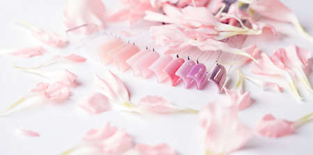 Set color samples of fake nails for choosing spring pink manicure and gel polish with flowersの写真素材