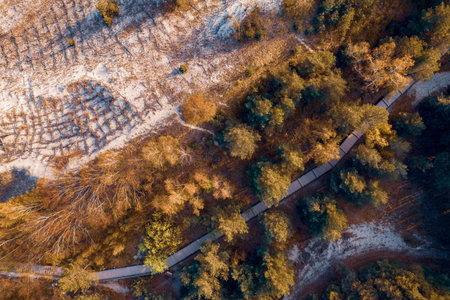 Curonian Spit from above Kaliningrad Russia, aerial top view of national park