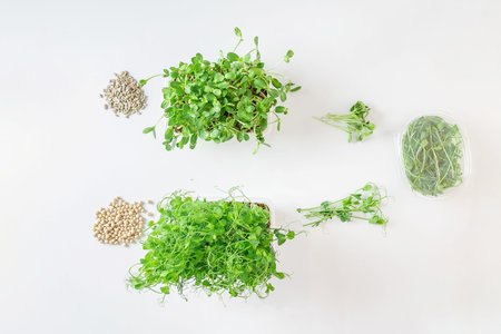 Growing kit Fresh raw Microgreen sprouts baby beans pea and sunflower in box on white background,...
