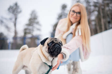 Doing sports in winter with animals, young woman canoeing with pug dogの写真素材