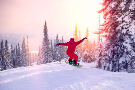 Snowboarder jumping through spruce forest fresh snow among at sunset. Concept Winter active sportの写真素材