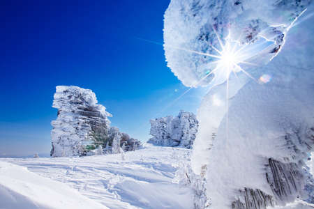 Beautiful winter view in dream, snow covered spruce and frozen sheer cliff with blue sky with sun lightの写真素材