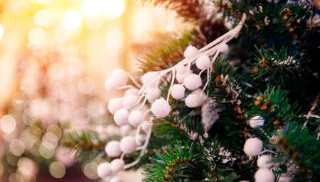 Christmas green pine tree with background bokeh sun lightの写真素材