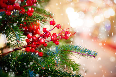 Christmas green pine tree with background bokeh sun light.の写真素材