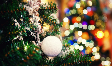 Christmas green pine tree with background bokeh sun light.の写真素材