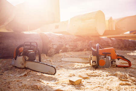 Two chainsaws on background of cut trees, concept of building houses from logs.の写真素材