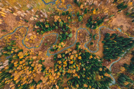 Landscape meander winding river and autumn yellow forest with sun light, Aerial top viewの写真素材