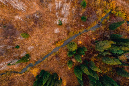 Autumn forest landscape at sunset with winding river among hills, aerial top view.の写真素材