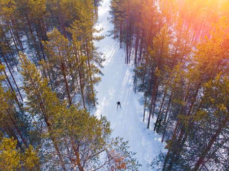 Man athlete trains cross-country skiing in winter on snow covered track in forestの写真素材