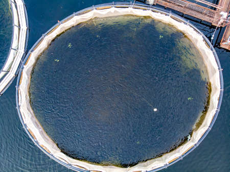 Salmon fish farm aquaculture blue water. Aerial top viewの写真素材