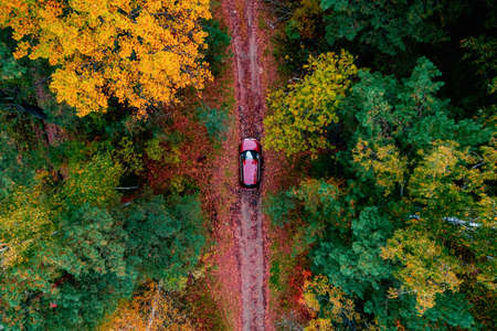 Aerial top view Nature autumn road in yellow forest, concept of trip by red carの写真素材