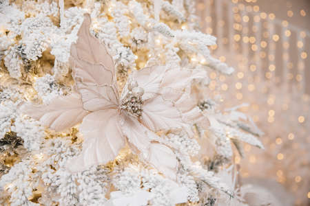 Christmas light background, macro photo white flower for decorating snow covered tree, blurred bokehの写真素材