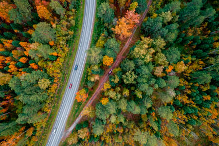 Aerial top view Travel autumn road driver in yellow forest, concept trip by carの写真素材