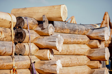 Close-up corner of wooden russian blockhouse, docking of round logsの写真素材