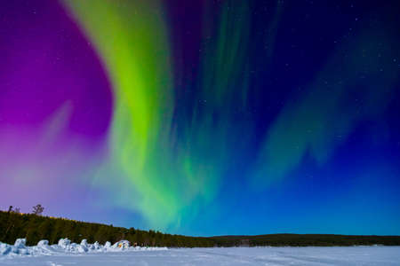 Arctic polar night starry sky background of aurora borealis and Northern Lights in forestの写真素材