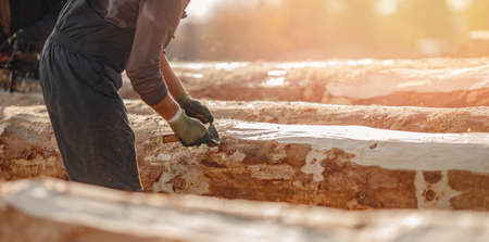 Preparation of timber for construction of log wooden houses. Carpenter removes bark from tree to dry woodの写真素材