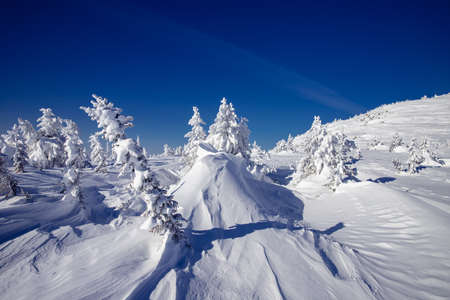 Beautiful icy landscape of nature, covered with snow without traces. Clear blue sky, screen saver conceptの写真素材