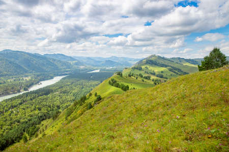 Hills and mountains Altai republic Russia, summer travel rallyの写真素材