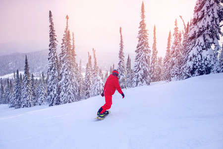 Man jumping with snowboard, pine trees covered with fresh snow on frosty sunset on mountainの写真素材