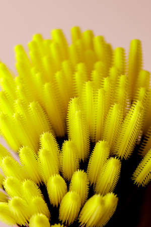 Eyelash extension concept. Set of yellow brushes on light background. Flat lay copy space beauty fashion top viewの写真素材