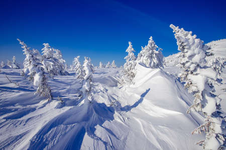 Beautiful icy landscape of nature, covered with snow without traces, Clear blue skyの写真素材