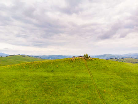Hills and mountains Altai republic Russia, aerial top viewの写真素材