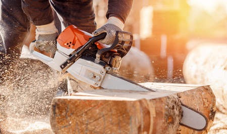 Close-up chainsaw of woodcutter sawing chain saw in motion, sawdust fly to sides. Concept is to bring down treesの写真素材