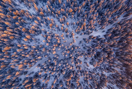Beautiful snow winding road through winter forest, sunset evening aerial top viewの写真素材
