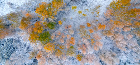 First snow fell on autumn forest, cold storm under yellow foliage. Banner Aerial top view droneの写真素材