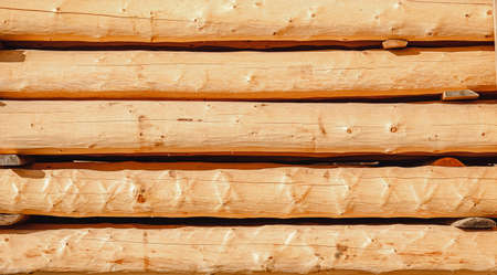 Cedar logs in sawmill for export or building wooden houseの写真素材